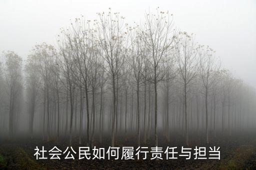 社會公民如何履行責(zé)任與擔(dān)當(dāng)