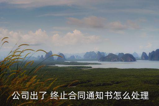 公司終止