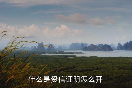 什么是資信證明怎么開(kāi)