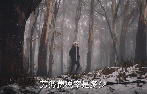 勞務(wù)費稅率是多少