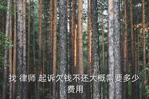 找 律師 起訴欠錢不還大概需要多少 費用