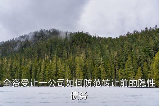 隱性債務(wù)是指什么，如何在短時間內(nèi)有效解決我國養(yǎng)老保險中隱性債務(wù)的問題