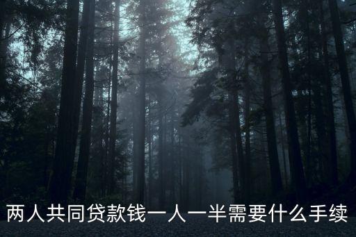 兩人共同貸款錢一人一半需要什么手續(xù)