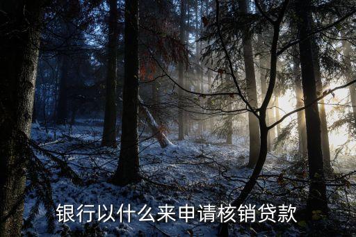 銀行以什么來申請(qǐng)核銷貸款