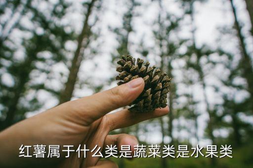 紅薯屬于什么類，紅薯屬于什么類是蔬菜類是水果類