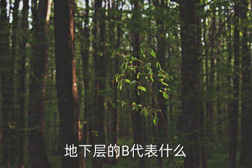 地下層，地下層中打王的遺跡有沒有什么通關(guān)技巧