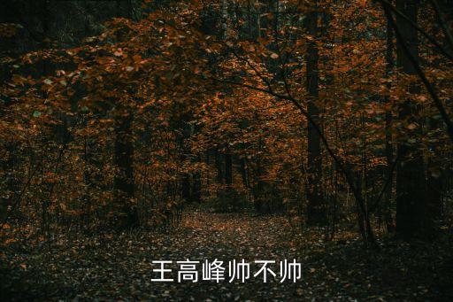王高峰，王高峰醫(yī)生做隆鼻手術(shù)的技術(shù)怎么樣