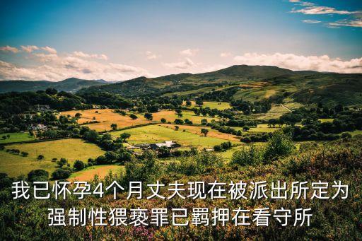 我已懷孕4個月丈夫現(xiàn)在被派出所定為強制性猥褻罪已羈押在看守所