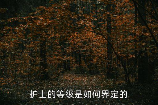 護理級別，護理有啥等級之分