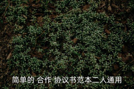 簡單的 合作 協(xié)議書范本二人通用