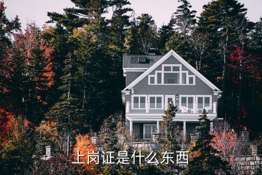 上崗證，什么是上崗證