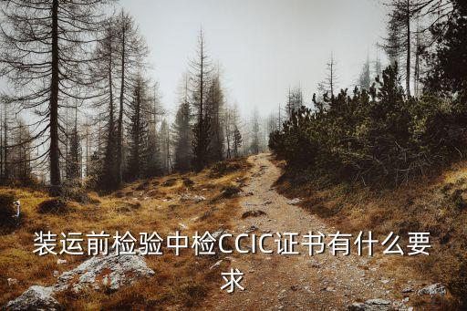 裝運(yùn)前檢驗(yàn)中檢CCIC證書(shū)有什么要求