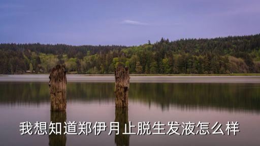 我想知道鄭伊月止脫生發(fā)液怎么樣