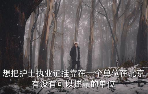 想把護(hù)士執(zhí)業(yè)證掛靠在一個(gè)單位在北京有沒(méi)有可以掛靠的單位