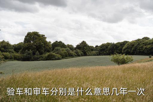 審車是什么意思，審車是什么意思