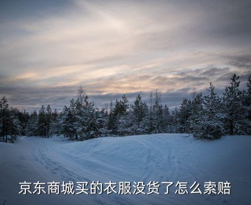 京東商城買(mǎi)的衣服沒(méi)貨了怎么索賠