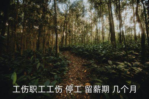 停工留薪期一般不超過幾個月,工傷職工停工留薪期一般不超過幾個月