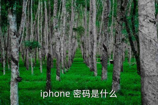 密碼是什么,屏幕使用時間密碼是什么