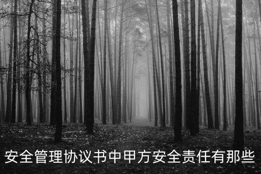 安全管理協(xié)議書中甲方安全責(zé)任有那些