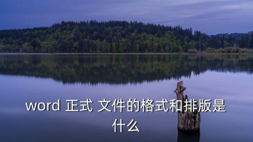 word 正式 文件的格式和排版是什么