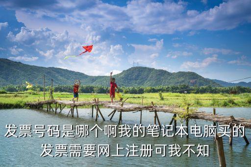 發(fā)票號碼是哪個啊我的筆記本電腦買的發(fā)票需要網(wǎng)上注冊可我不知