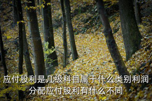 應(yīng)付股利是幾級(jí)科目屬于什么類別利潤(rùn)分配應(yīng)付股利有什么不同