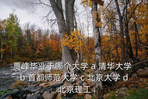 賈峰畢業(yè)于哪個(gè)大學(xué) a 清華大學(xué) b 首都師范大學(xué) c 北京大學(xué) d 北京理工