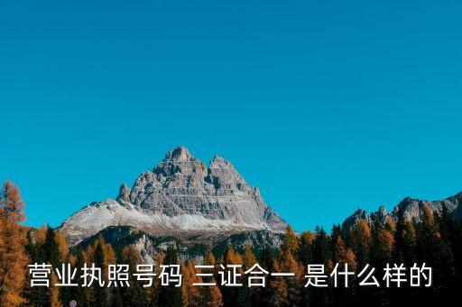 營業(yè)執(zhí)照三證合一，辦理三證合一營業(yè)執(zhí)照需要什么資料