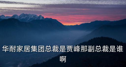 賈峰，華耐家居集團(tuán)總裁是賈峰那副總裁是誰啊
