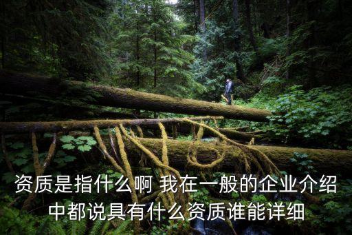 資質(zhì)是指什么啊 我在一般的企業(yè)介紹中都說具有什么資質(zhì)誰(shuí)能詳細(xì)