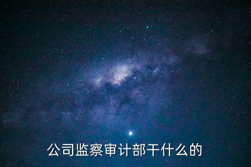 公司監(jiān)察審計部干什么的