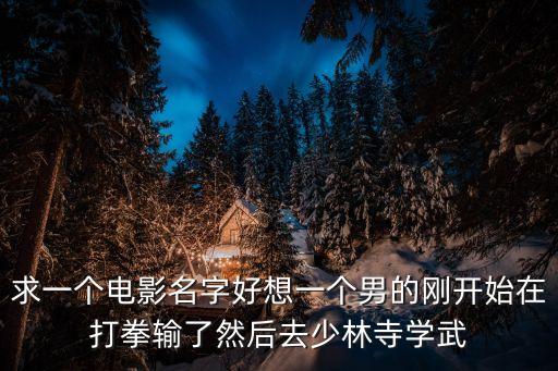 求一個電影名字好想一個男的剛開始在打拳輸了然后去少林寺學武