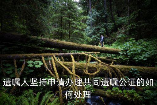 遺囑人堅(jiān)持申請(qǐng)辦理共同遺囑公證的如何處理