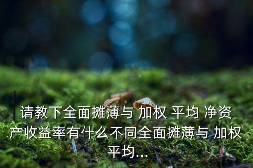 加權(quán)平均凈資產(chǎn)