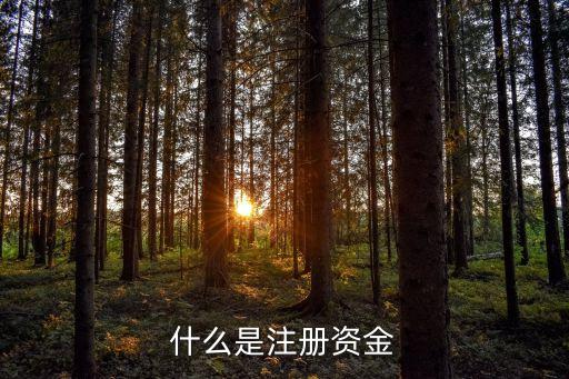 什么是注冊資金