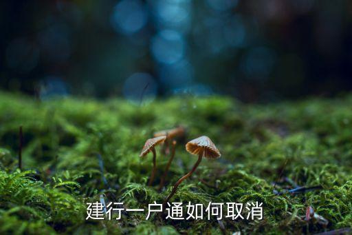 建行一戶通如何取消