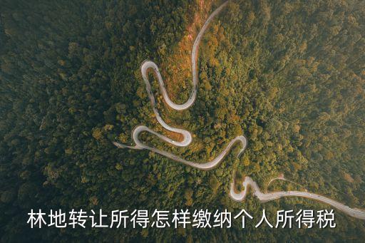 林地轉(zhuǎn)讓，林地轉(zhuǎn)讓所得怎樣繳納個(gè)人所得稅