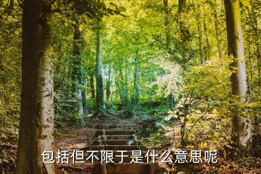 包括但不限于，包括但不限于是什么意思呢
