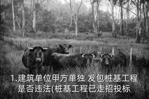 肢解發(fā)包,建設(shè)單位肢解發(fā)包
