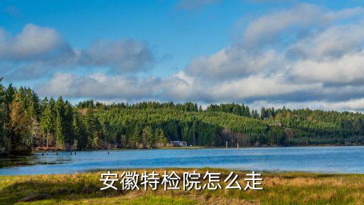 安徽省特種設(shè)備檢測院，想知道 合肥市 安徽省特檢院 在哪