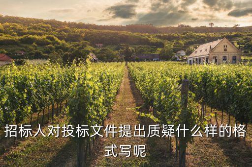 投標質疑函范本，招標人對投標文件提出質疑什么樣的格式寫呢