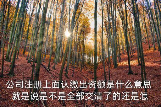 公司注冊(cè)上面認(rèn)繳出資額是什么意思 就是說是不是全部交清了的還是怎