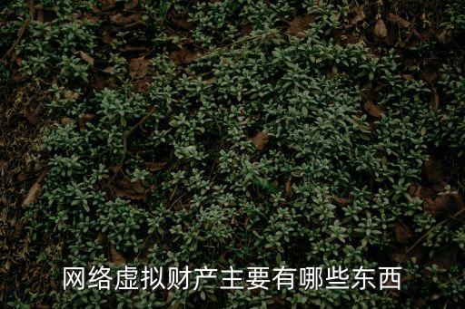 網(wǎng)絡虛擬財產(chǎn)，網(wǎng)絡上的虛擬財產(chǎn)是一個什么概念