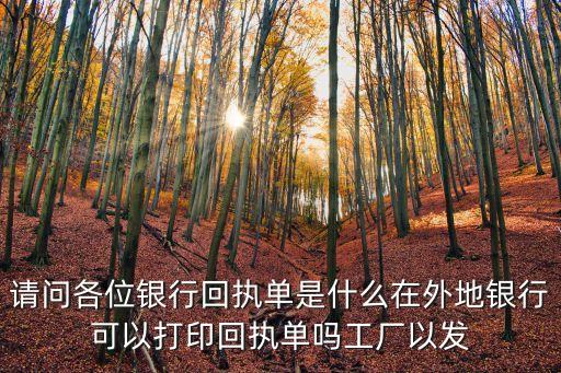 銀行回執(zhí)單是什么，銀行回執(zhí)單是什么意思啊