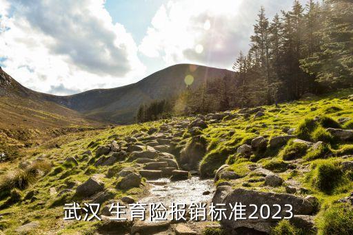武漢生育津貼