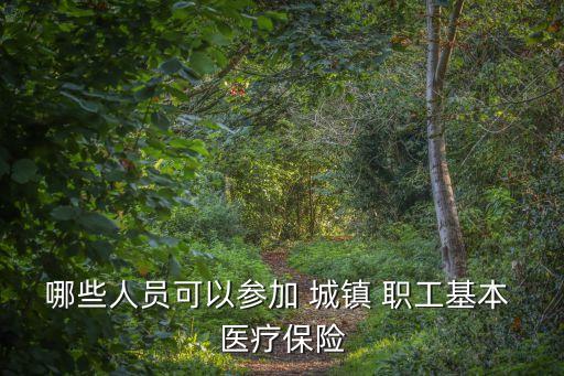 城鎮(zhèn)職工基本醫(yī)療保險(xiǎn)
