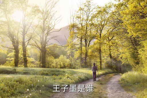 王子墨，王子墨這個名字怎么樣