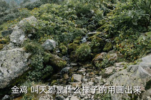 金雞叫天都,黃山奇石金雞叫天都