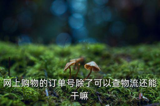 網(wǎng)上購(gòu)物的訂單號(hào)除了可以查物流還能干嘛
