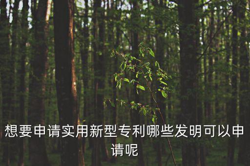 想要申請(qǐng)實(shí)用新型專利哪些發(fā)明可以申請(qǐng)呢